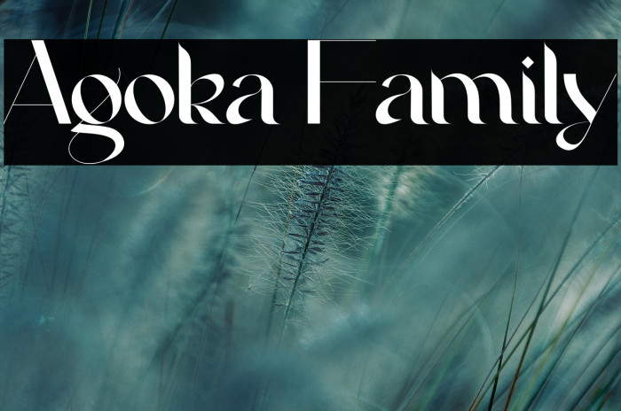 Agoka Family Example 1