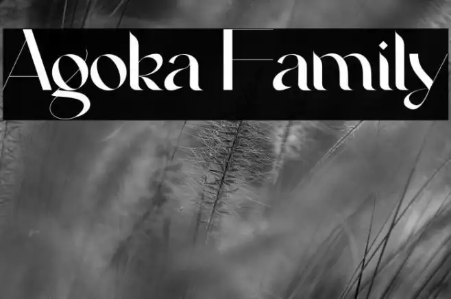 Agoka Family Example 1