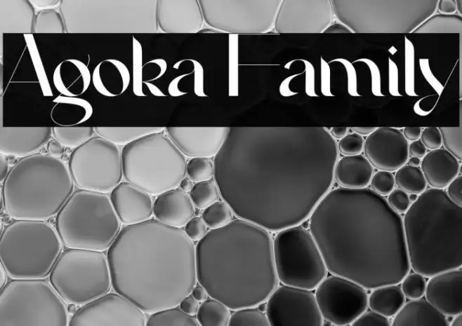 Agoka Family Example 3
