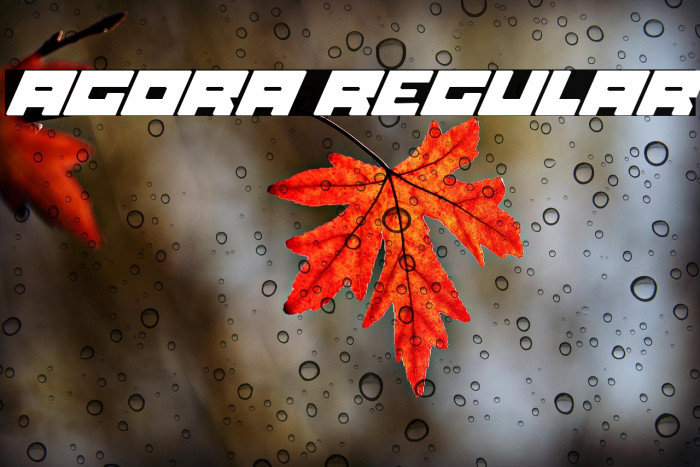 Agora Regular Example 3