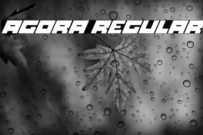 Agora Regular Example 3