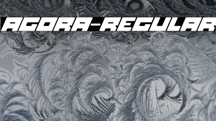 Agora-Regular Example 1