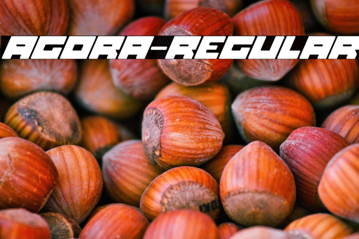 Agora-Regular Example 2