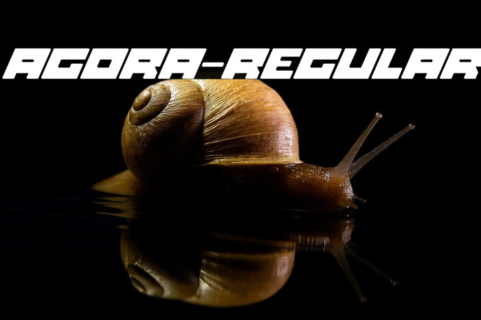 Agora-Regular Example 3