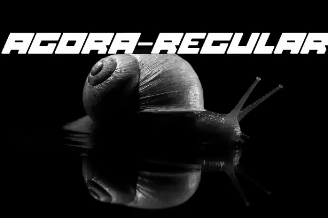 Agora-Regular Font examples