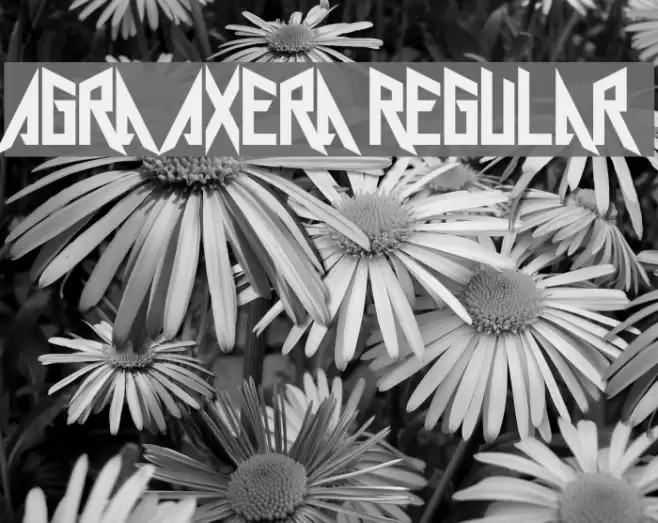Agra Axera Regular Font examples