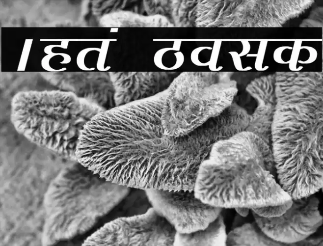 Agra Bold Caratteri examples