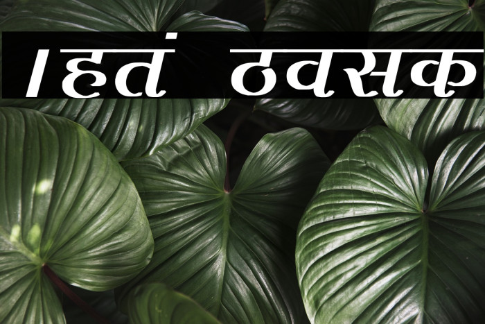 Agra Bold Font examples