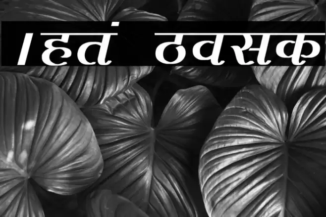 Agra Bold Caratteri examples