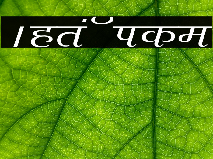 Agra Wide Font examples