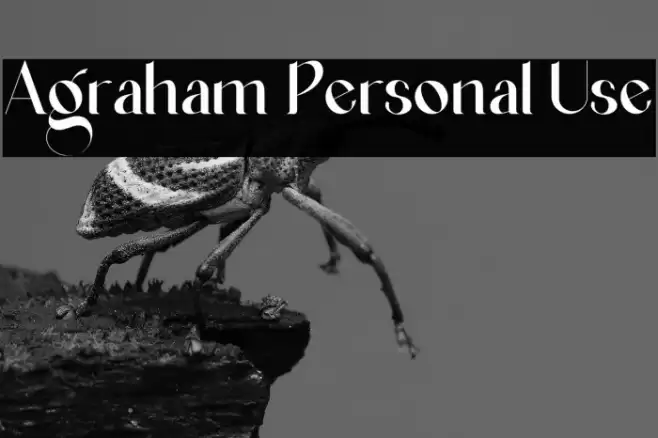 Agraham Personal Use Schriftart examples