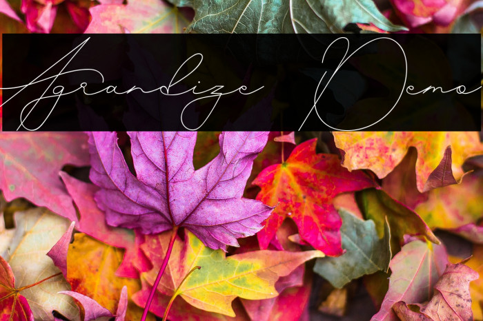 Agrandize Demo Example 1