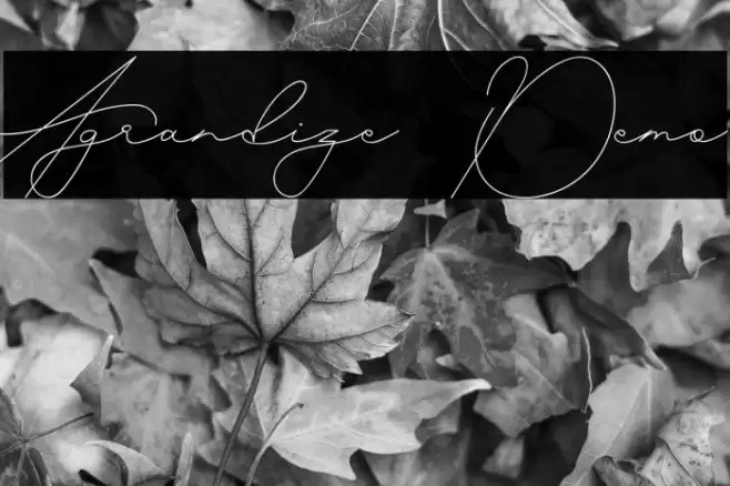 Agrandize Demo Font examples