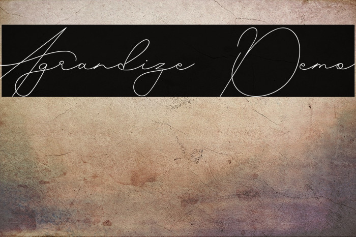 Agrandize Demo Example 2