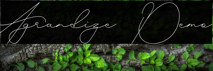 Agrandize Demo Example 3