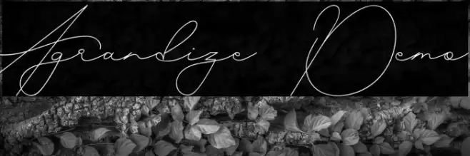 Agrandize Demo Font examples