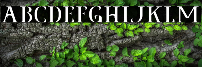 AgrasiaFree-Regular Example 3