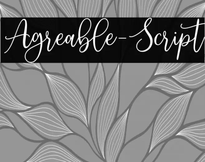 Agreable-Script Font examples