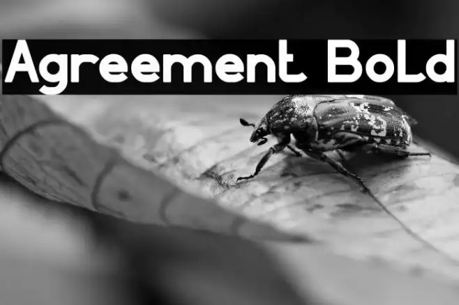 Agreement Bold Example 1