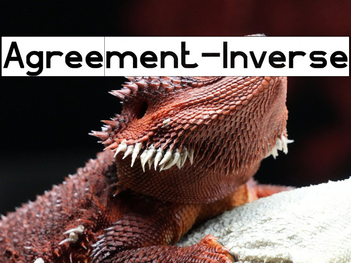 Agreement-Inverse Example 2