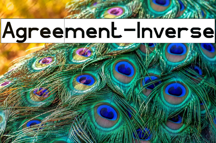 Agreement-Inverse Example 3