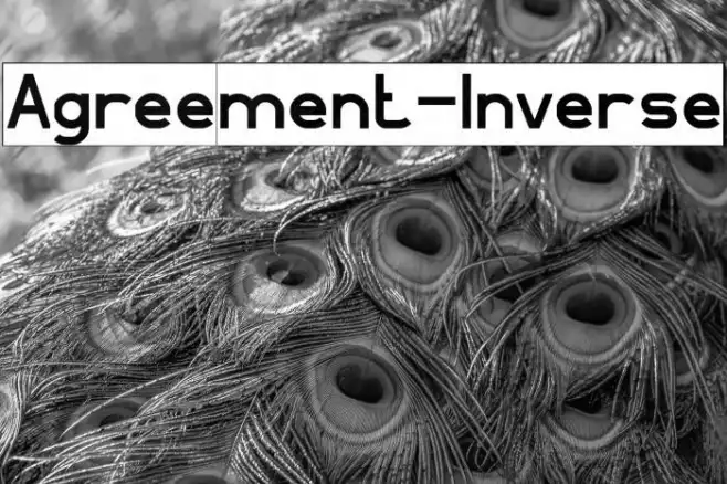 Agreement-Inverse Example 3