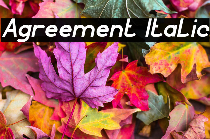 Agreement Italic Example 2