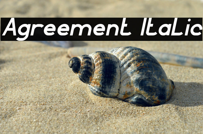 Agreement Italic Example 3