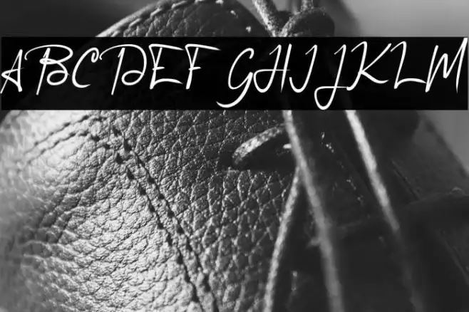 Agreement_Signature_ Example 1