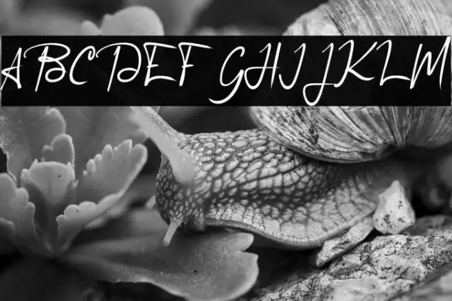 Agreement_Signature_ Example 2