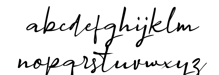 Agreement_Signature_ Font LOWERCASE