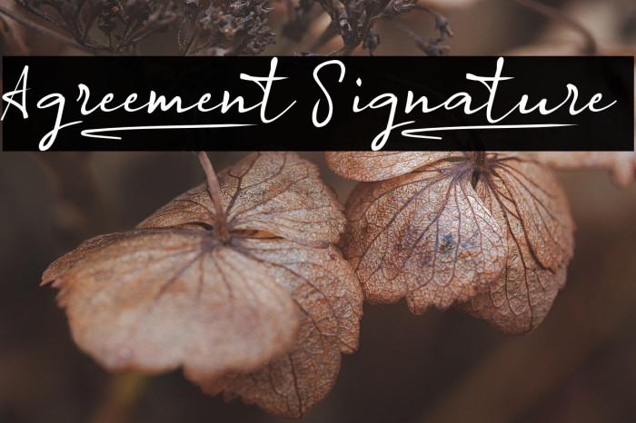 Agreement_Signature_ Example 2