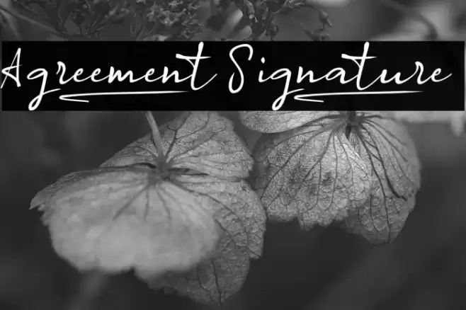 Agreement_Signature_ Font examples