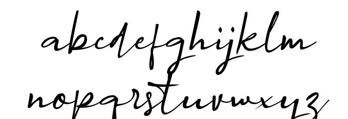 Agreement_Signature_ Font LOWERCASE
