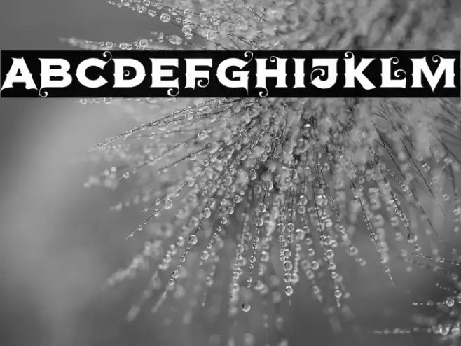 Agreloy Font examples