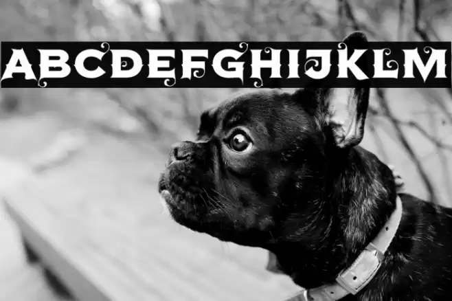 Agreloy Font examples