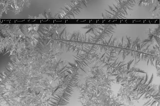 AgreloyInB1 Font examples