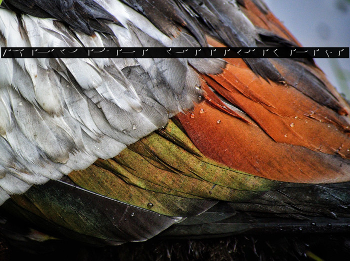 AgreloyInB1 Example 2