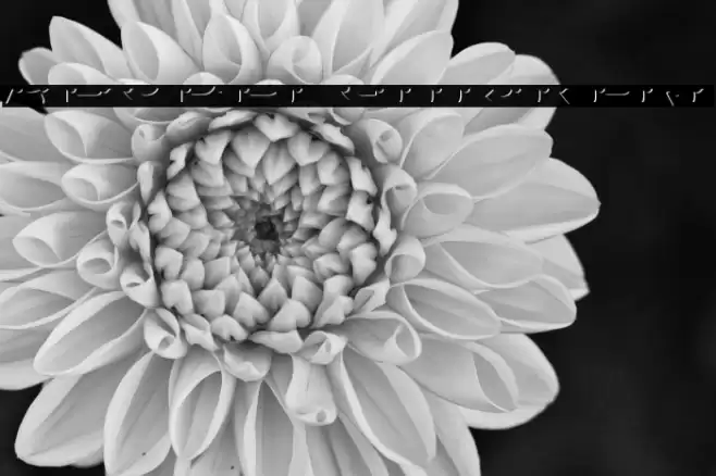 AgreloyInB1 Font examples