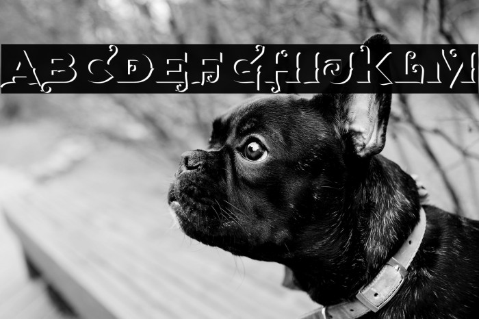 AgreloyOut1 Example 1