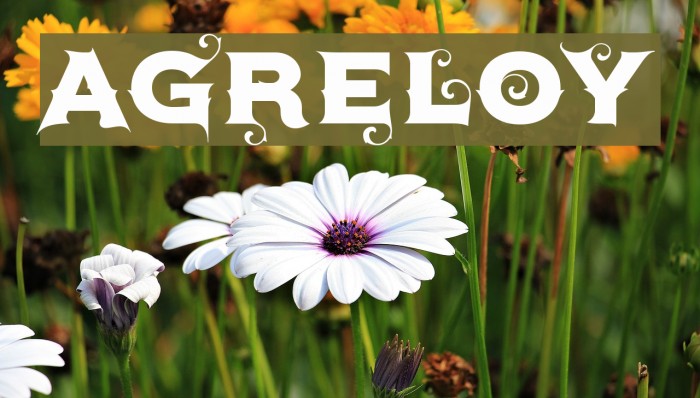 Agreloy Font examples