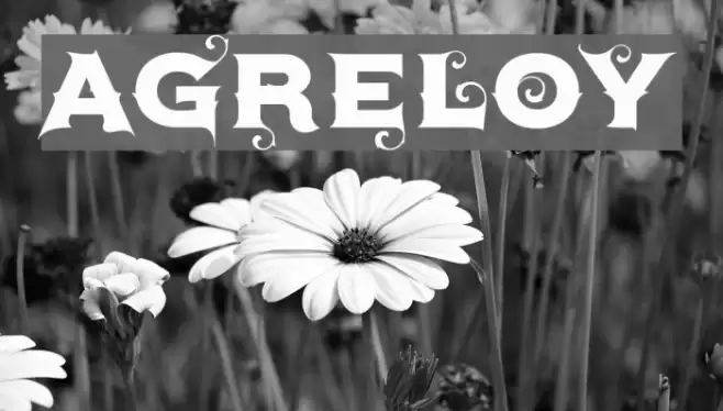 Agreloy Font examples