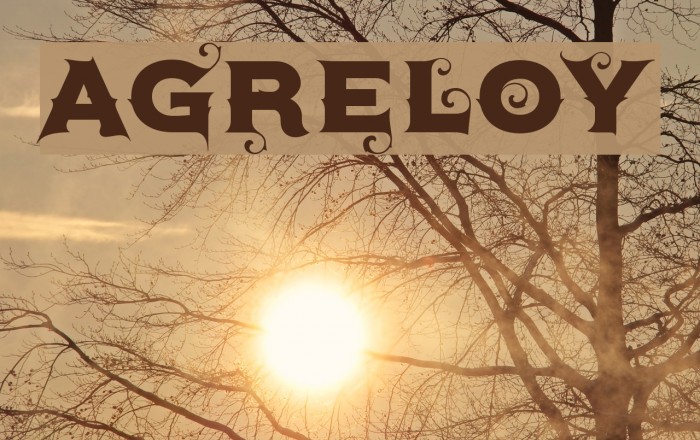 Agreloy Font examples