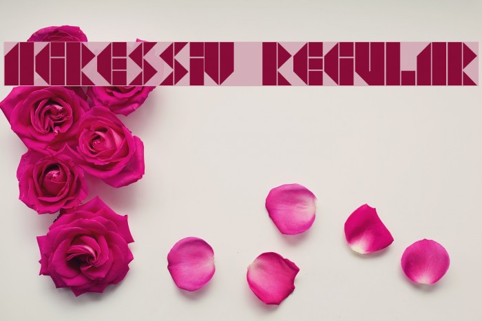 Agressiv Regular Example 1