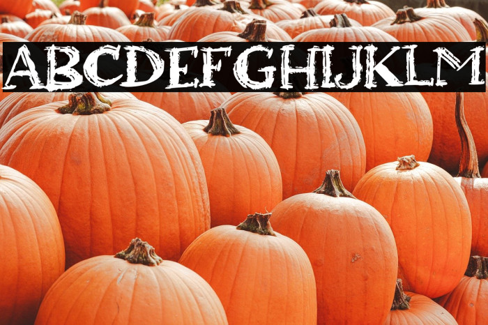 Agressive Winter Example 2