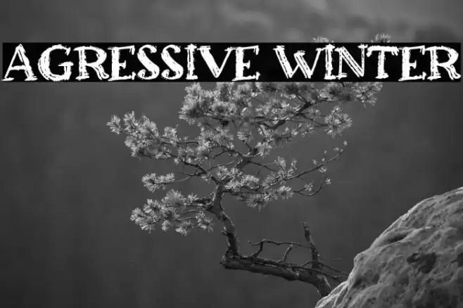 Agressive Winter Font examples