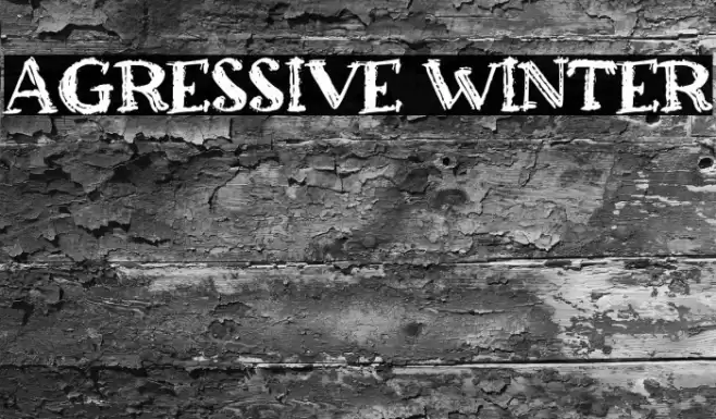 Agressive Winter Font examples