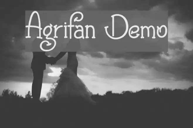 Agrifan Demo Example 2