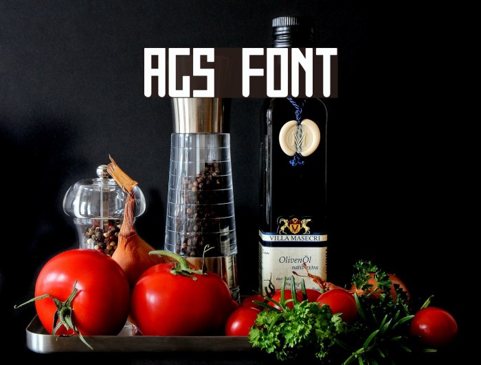 Ags Font examples