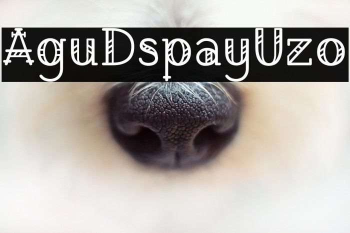 Agu Display Uzo Example 1